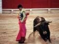 スペインで闘牛観戦