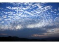 うろこ雲・さば雲・いわし雲・羊雲…「秋の雲」の見分け方