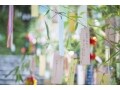 七夕笹飾りの種類と日本各地の由来・意味を知ろう！