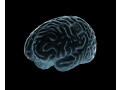 脳神経検査の基礎知識……理学療法士に必要な「12脳神経評価法」