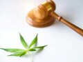 大麻所持は逮捕されるが、使用のみなら合法？「使用は罪にならない」のウソ