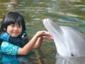 イルカと遊ぶドルフィン・プログラム／ハワイ