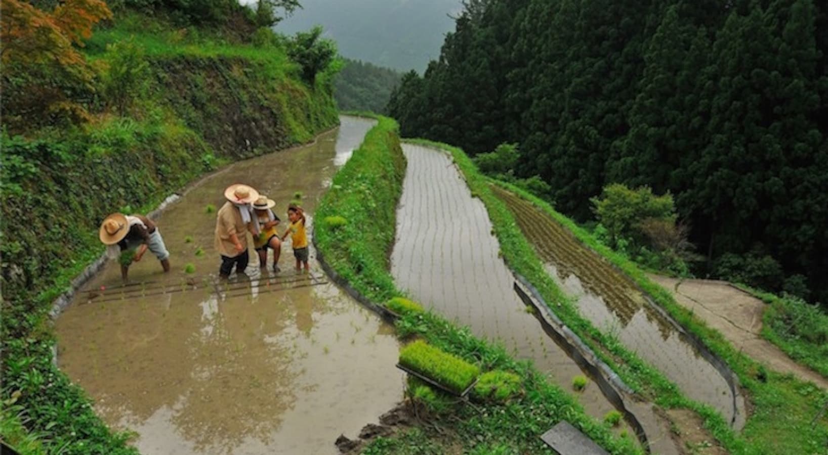 The 3 Most Beautiful Villages in Shikoku All About Japan