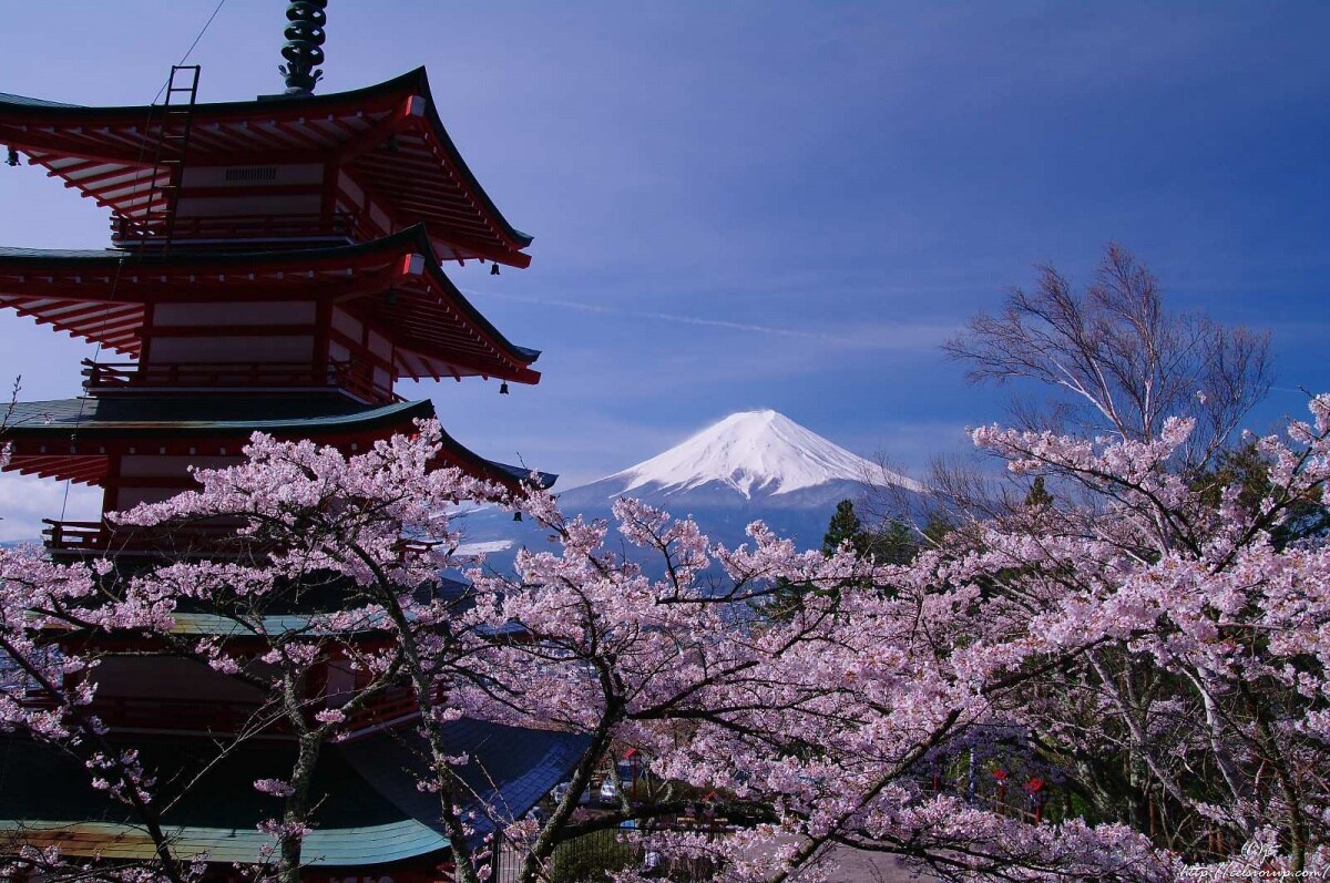 第三名 富士山吉田口登山道