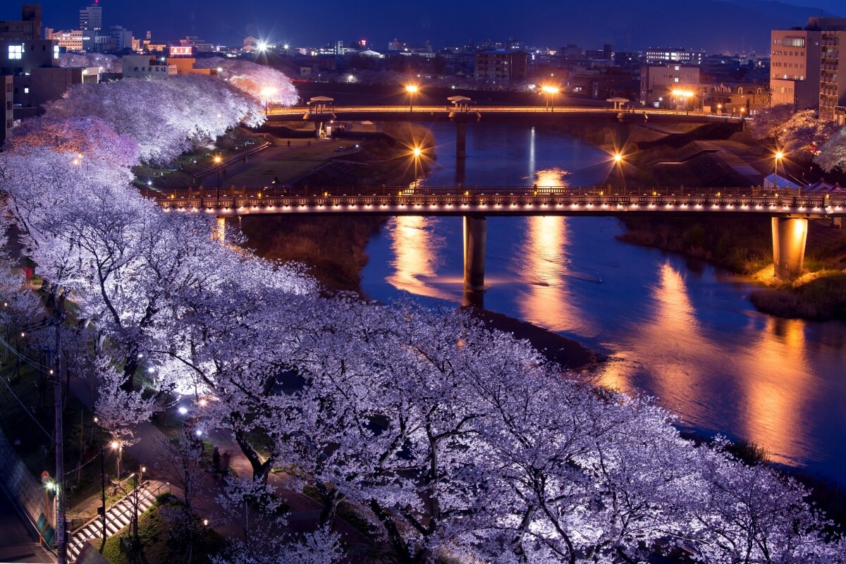 Must See Cherry Blossom Sites In Hokuriku All About Japan