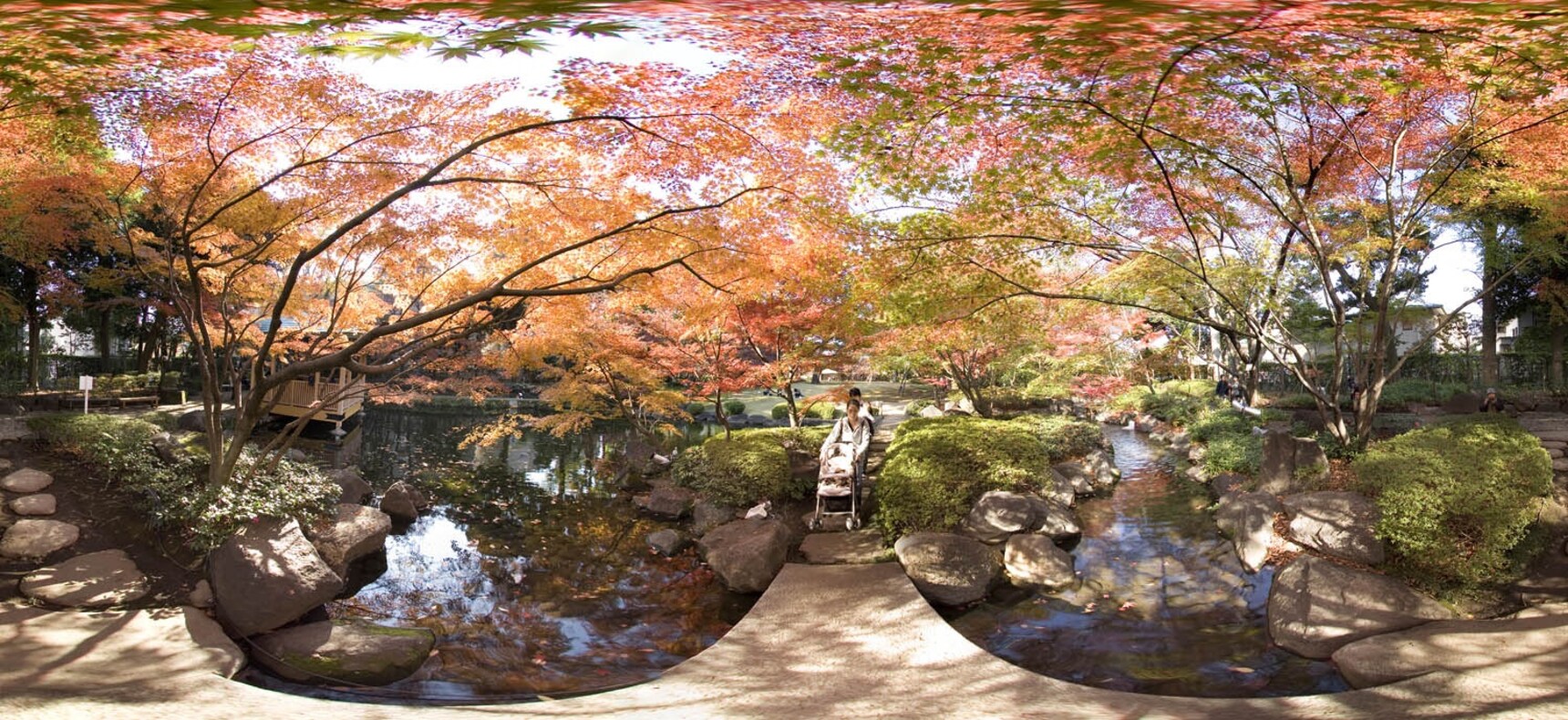 Outer Tokyo's 5 Best Fall Foliage Spots | All About Japan