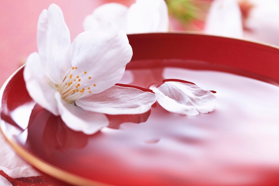 お花見マナーはこれで完璧！粋な振る舞いでお花見を120%満喫