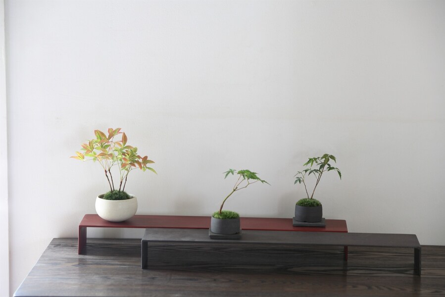 小さな盆栽の作り方【植込みから完成までを解説】