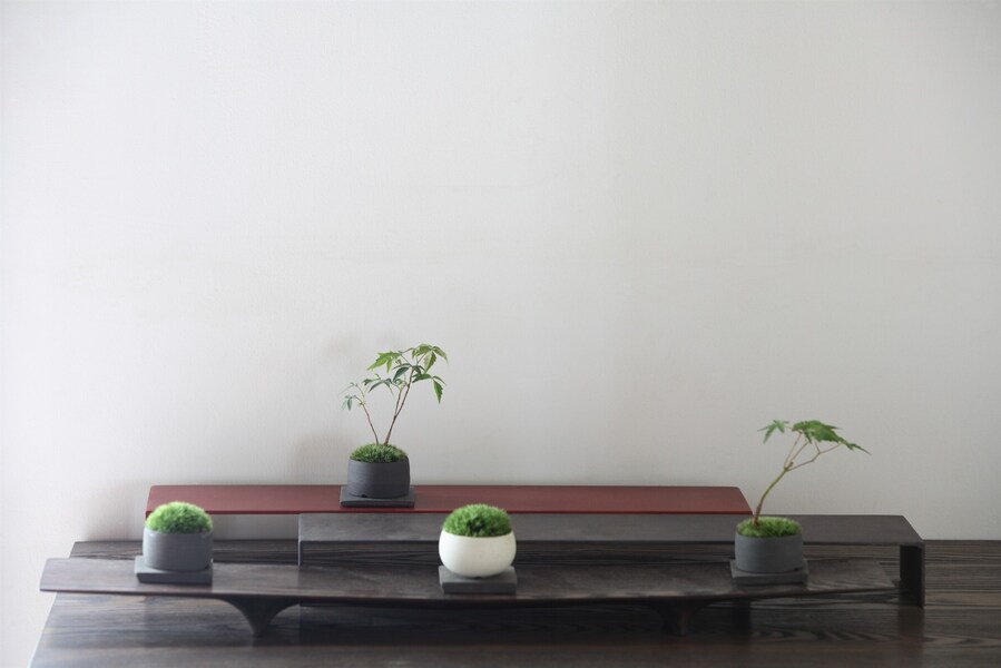 盆栽鉢の選び方とは？ 見どころや特徴があり、植物にも優しい！