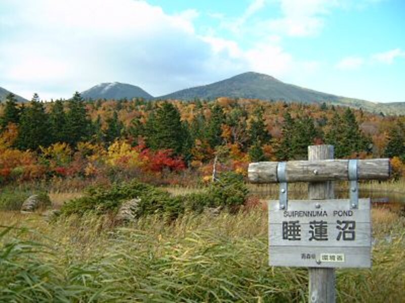 睡蓮沼の紅葉・黄葉と八甲田の山々