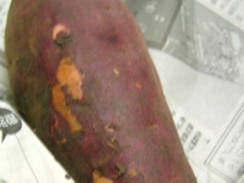 よいさつまいもの選び方