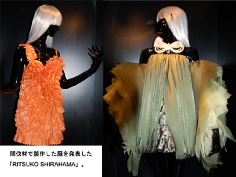 RITSUKO SHIRAHAMA 2010 AW COLLECTION