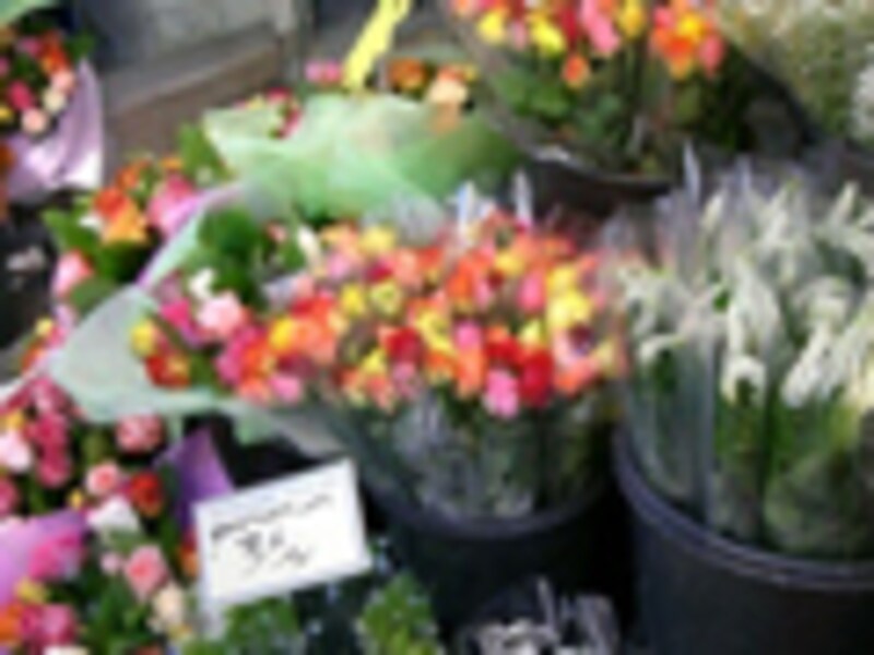 フランスの伝統色にみるファッションカラー