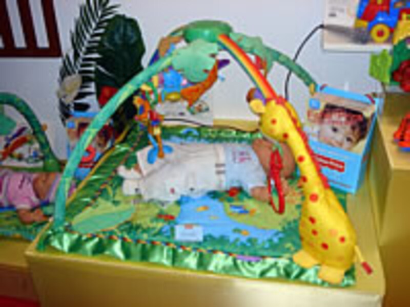 レインフォレスト デラックスジム