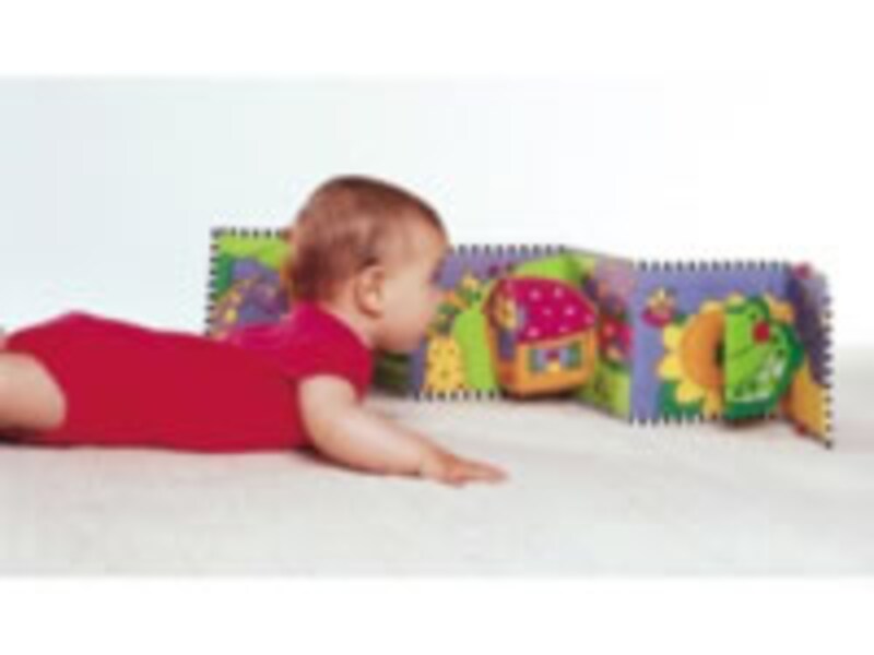 TINY LOVE ダブルサイド ファーストブック カラー