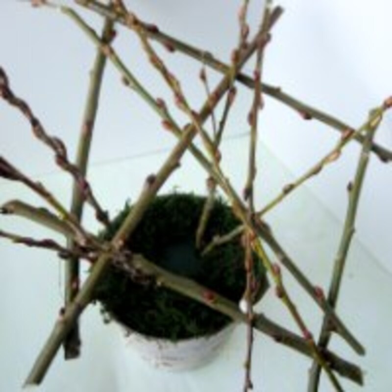 アシストをセット