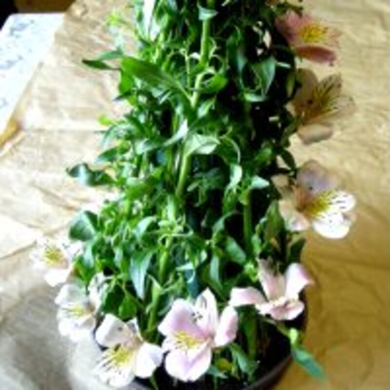 アルストロメリアを入れる