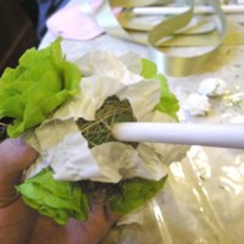 ミツマタを差す