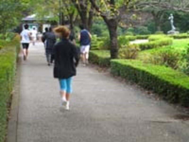 もう少しで交番というところ。このあたりで蛇が横切っていった