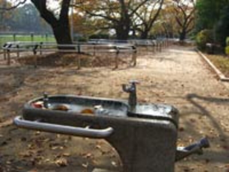 公園内の水場