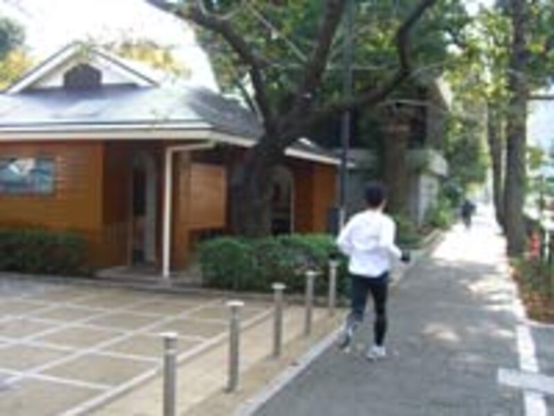 千鳥ヶ淵公園のトイレは周回路に面している