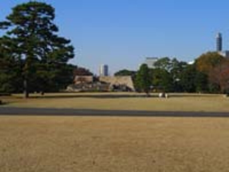 東御苑本丸跡の広場。奥に見える石垣が天守閣跡。東御苑では、走ることはもちろん、ストレッチングレベルの運動も禁止。飲酒は不可だが、食事はよいとのこと