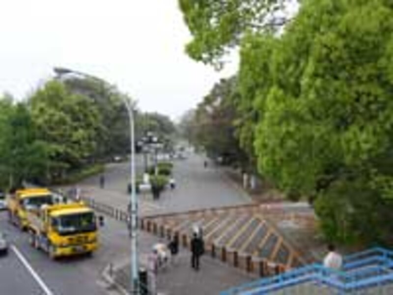 緑豊かな代々木公園