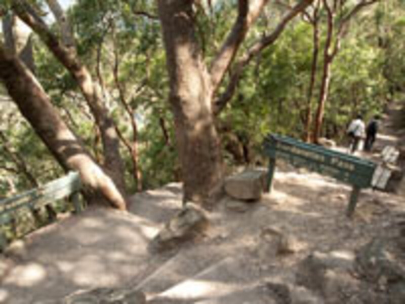 崖を下り降りれば、トレランをしたいようなトレイル伸びている