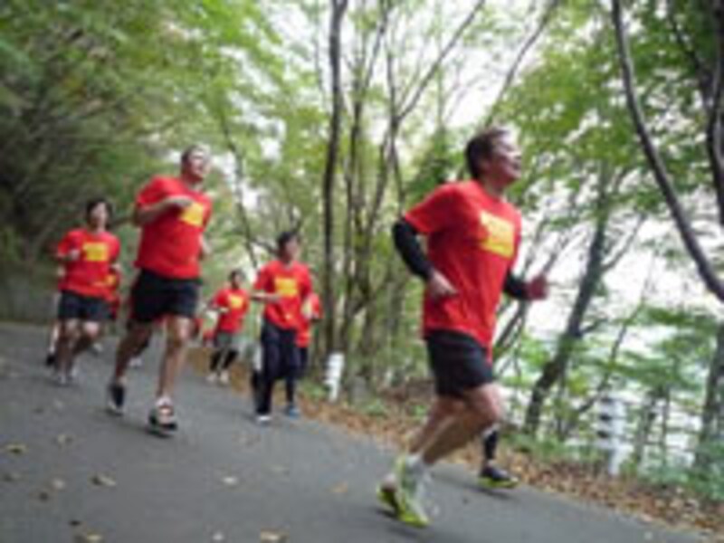 自然いっぱいの樹林を走る区間もたくさん