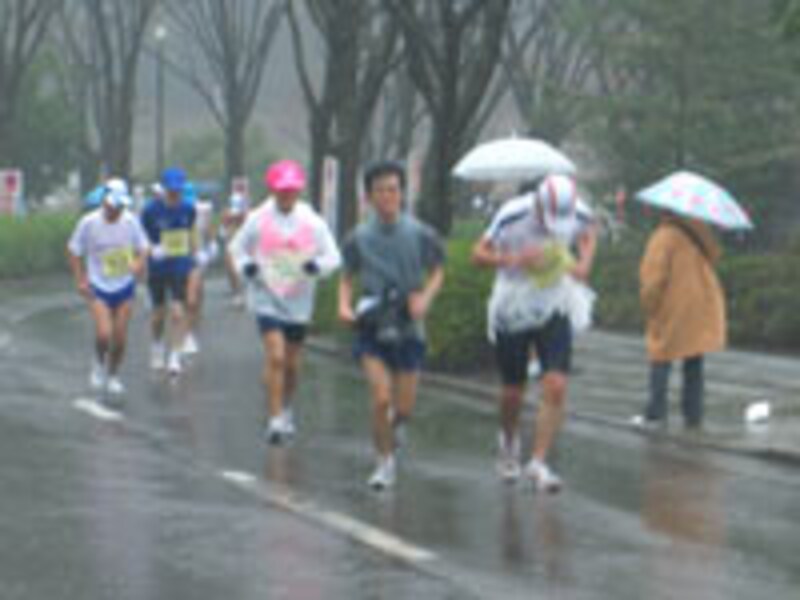 とかく2~3月の大会で天候が悪いと寒くて風が強いだけに印象に残る。悪天に悩まされることの多い佐倉朝日健康マラソン。2007大会では雨と強風は終了時近くまで強く、体が温まったと早めに防寒シートを捨てたランナーは30km過ぎて泣く羽目に