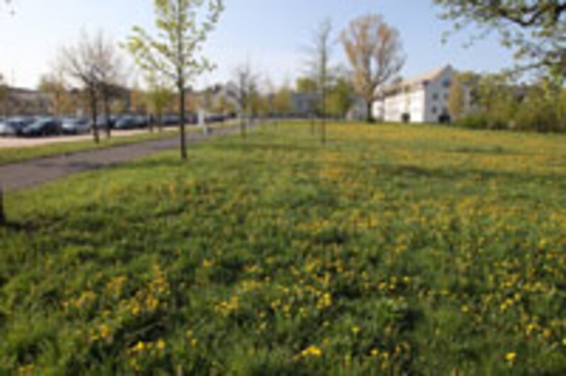 とにかく広い。緑いっぱい。環境は抜群だ