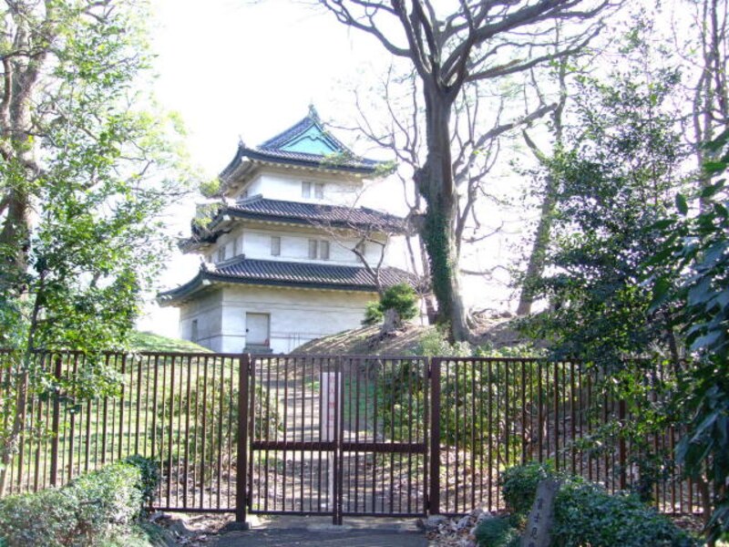 皇居外苑の桜