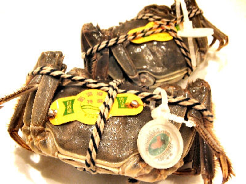 重慶飯店 麻布賓館