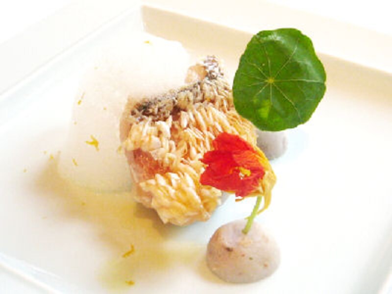 大西ハーブ農園×ラ・ヴェロニカ