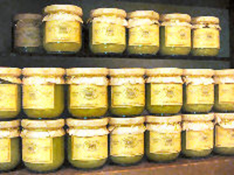 トスSBラッフルズ