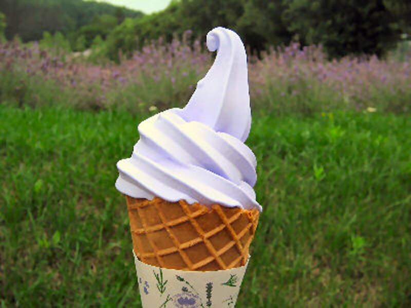 ラベンダースイーツ BEST5!