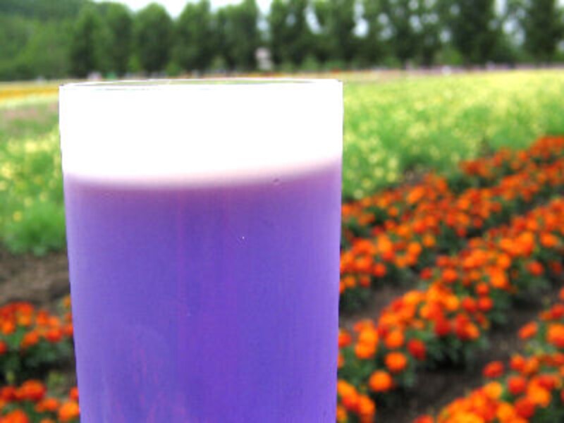 ラベンダースイーツ BEST5!