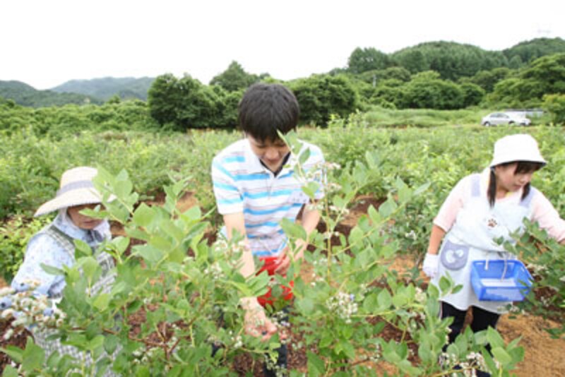 軽井沢スイーツ博コンクール