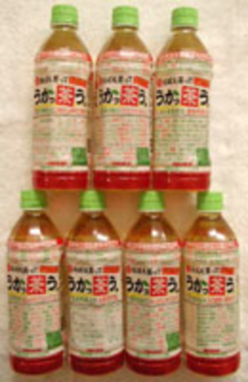 日本サンガリア うかっ茶う