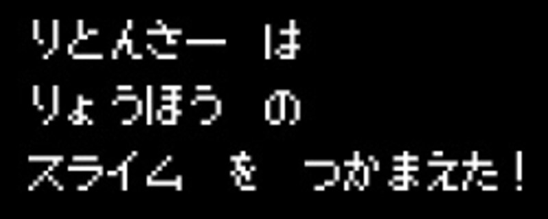 りとんさー は りょうほう の スライム を つかまえた!
