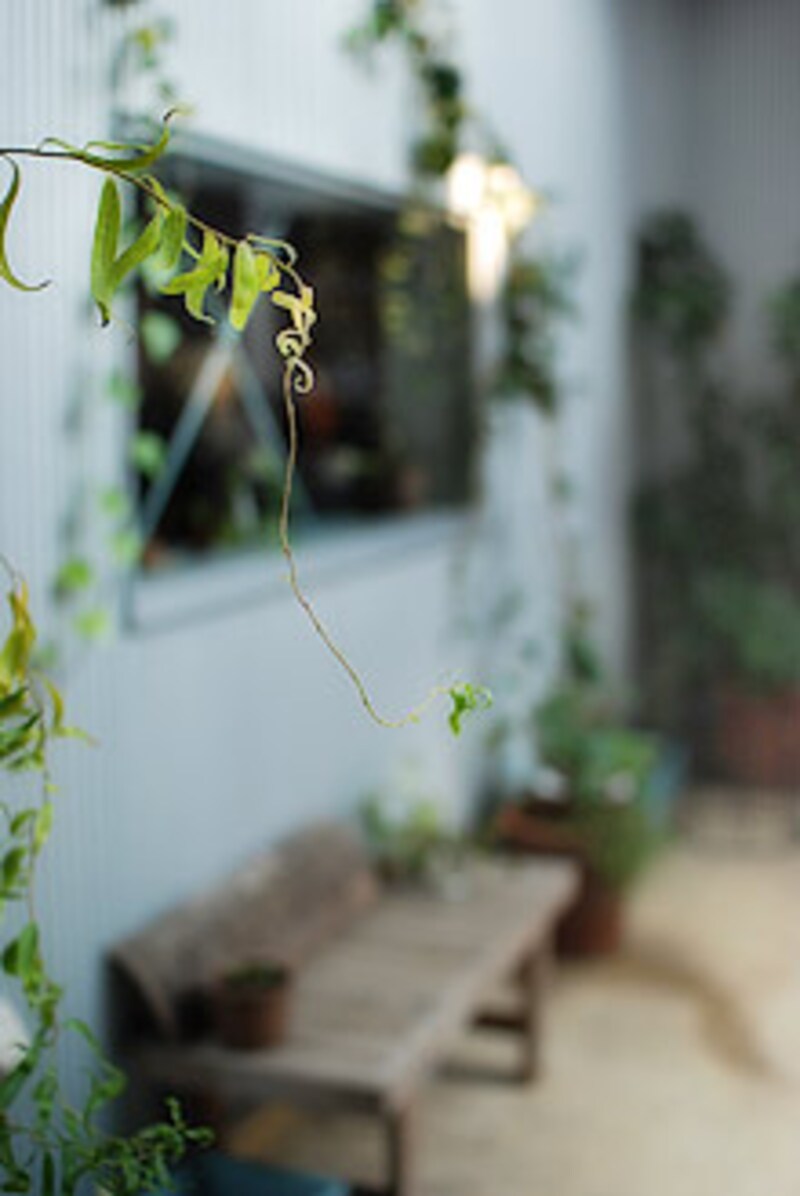 カフェ・スローの写真