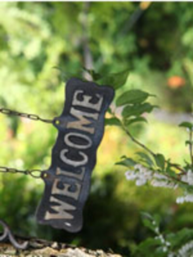 人気のリゾ婚!ドレス準備とドレスケア