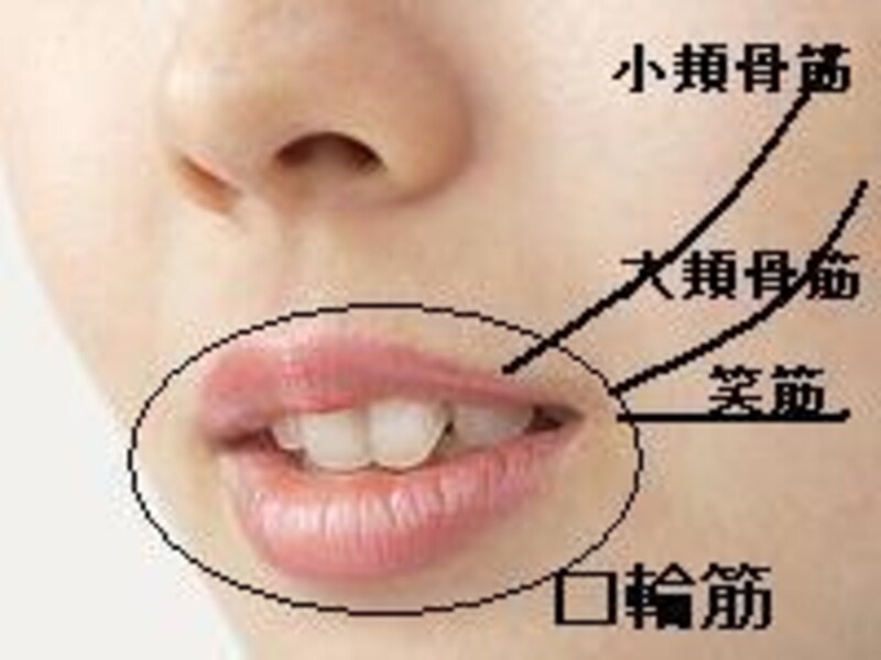 画像の代替テキスト