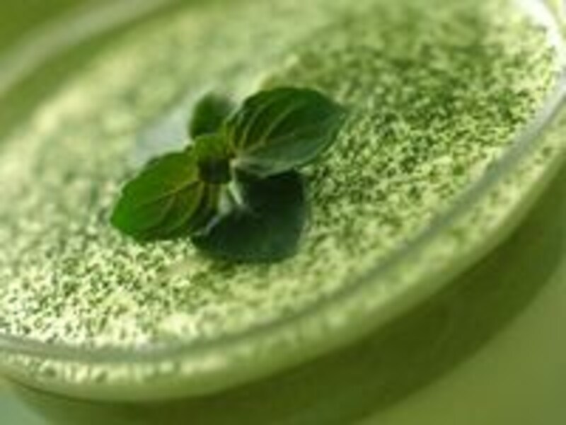 画像の代替テキスト