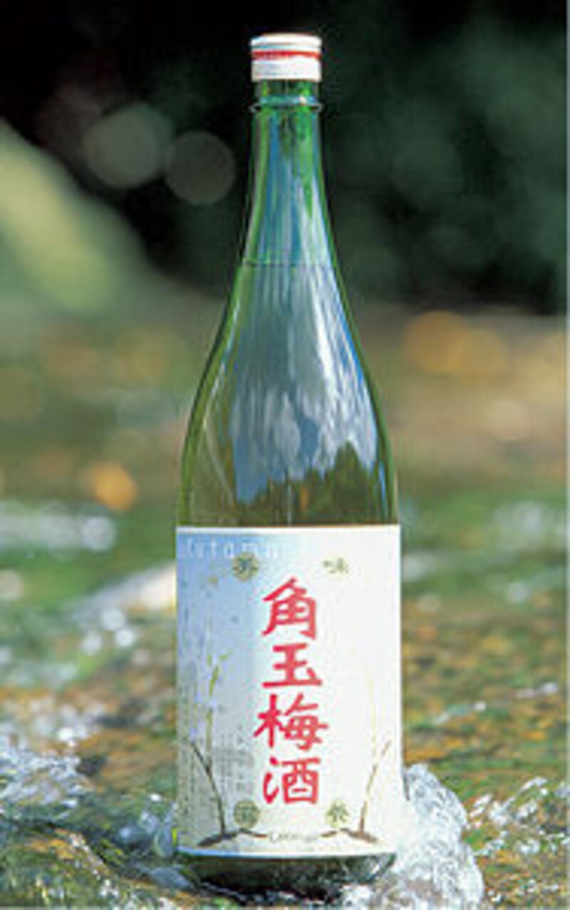 角玉梅酒