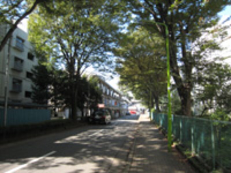 小田急線/祖師ヶ谷大蔵駅から徒歩8分の徒歩圏エリア