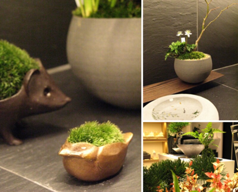 遊び心のある、大人のインテリア