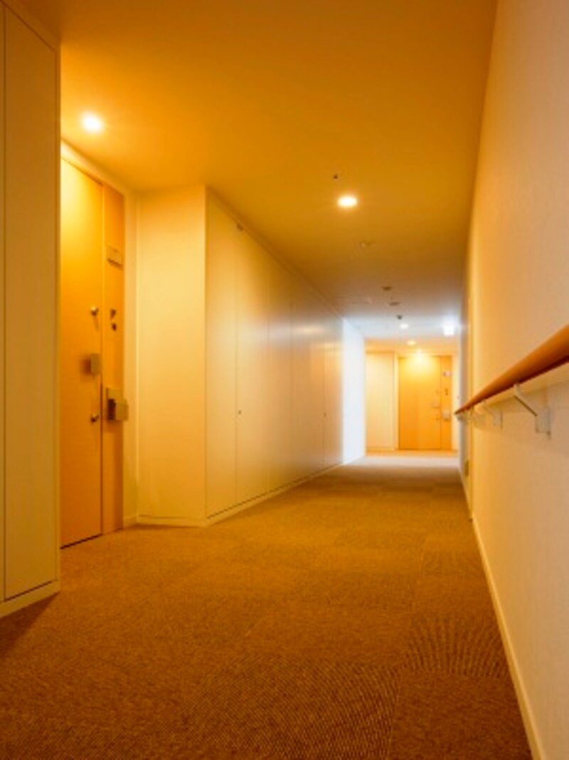 シティホテルを思わせる内廊下(平成21年6月撮影)
