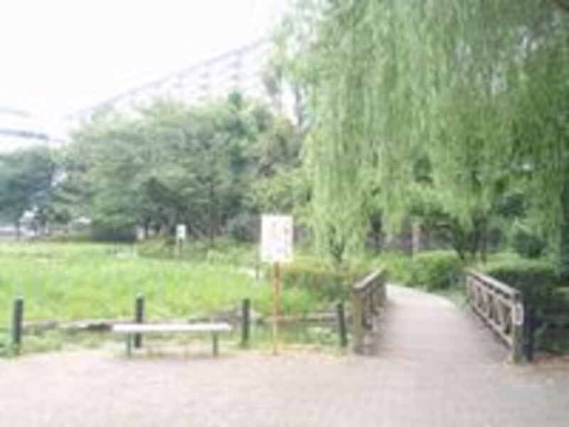 プラウド東陽町 公園