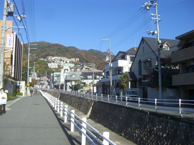 天上川沿い